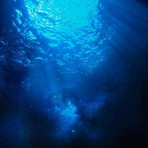 成人🔞日本无码视频在线观看
